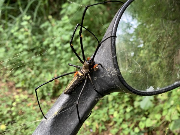 20251024台南東西崙山封面