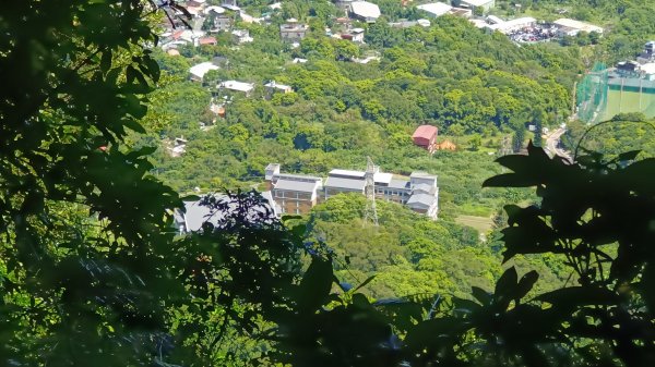 (姨婆趴趴走)第十八集:三峽溪南尖山，主公山，王公坑山環狀縱走2233784