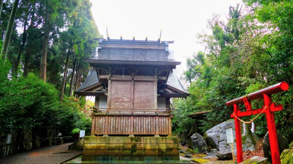 宮崎青島,母智丘,桷志田,櫻島,渡輪3027901