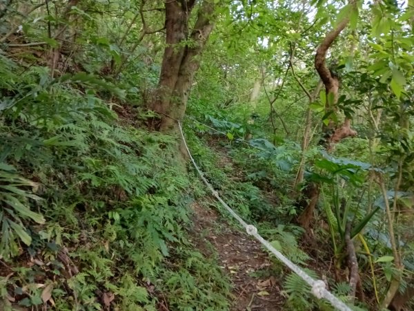 汐止區北港山+拱北殿楓情O型2976026