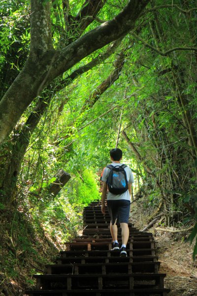 挑啊挑! 挑過山道 20190606759119