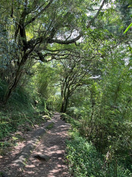 台北 陽明山 絹絲瀑布-擎天崗2722172