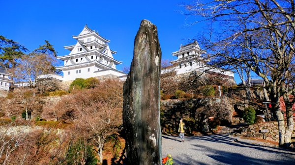 郡上八幡城的白帆2982599