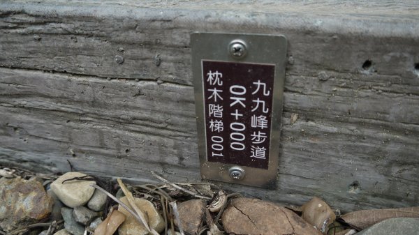 九九峰森林步道登山健行趣(步道)1827293