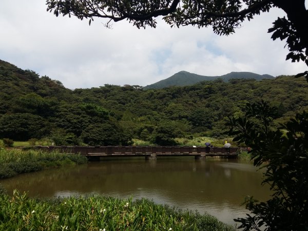 大屯山系｜漫步枕頭山。二子坪漫漫而行665901