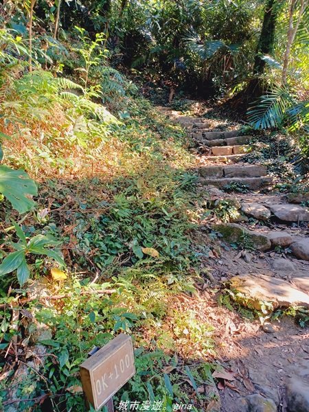 【台南。東山】 適合親子悠遊行。 小百岳集起來。 編號64小百岳-崁頭山步道1558954