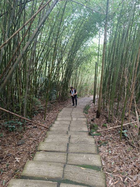 雲嘉大尖山、二尖山步道2983739