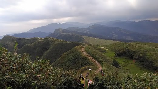 2019 3/2 草嶺古道 桃源谷853693