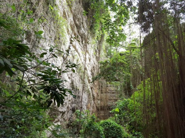 壽山自然國家公園探洞、攀岩申請及活動注意事項