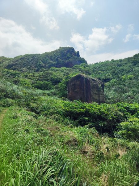南雅山-門牙岩-鐵達尼岩-海園古道-鼻頭角3040498