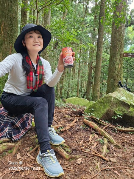 桃園小百岳東眼山(H1212m)2844637