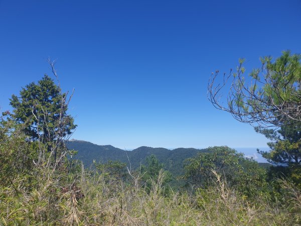 榛山登山步道與榛山1562047