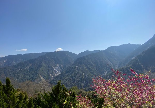 中之關、天池步道1294947