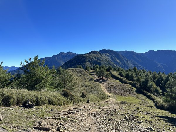 【南投】麟趾山、鹿林山、鹿林前山O型縱走｜被玉山群峰環繞的半日健行路線｜塔塔加三山1929357