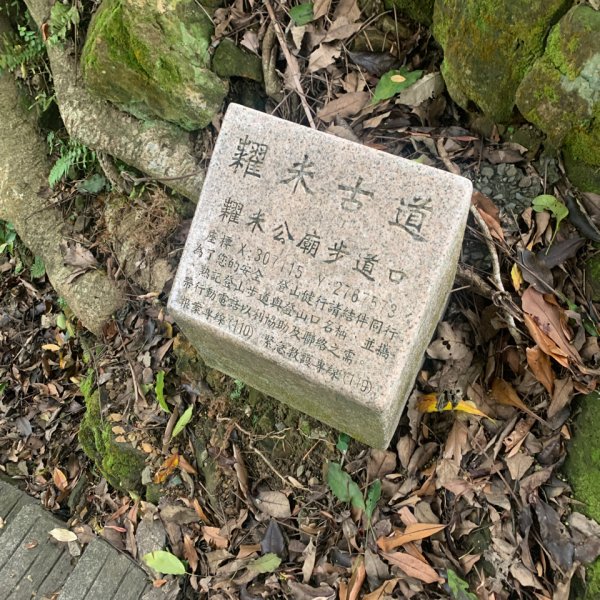 20200129麟光站到中華科大817849