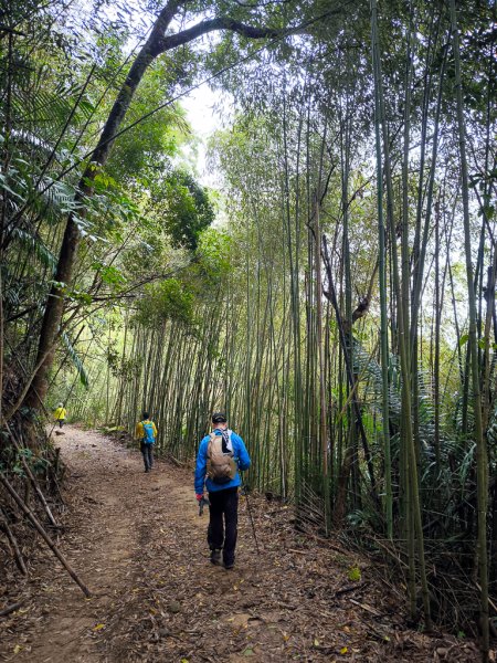 2025-03-08 汶水三山：金童山、汶水山、玉女山 連走2736560