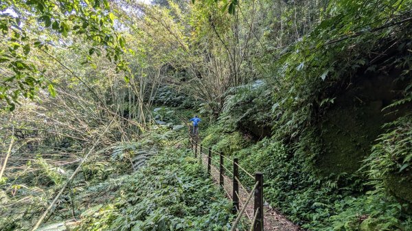 115.04.12金平山西峰-蝙蝠洞之旅3034702