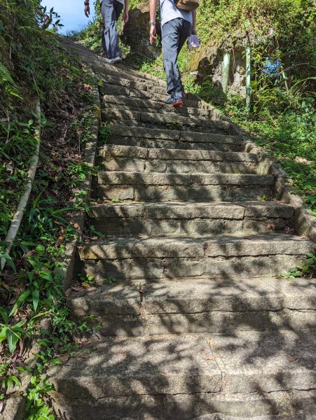 2023-08-26 臺北大縱走第六段2792753