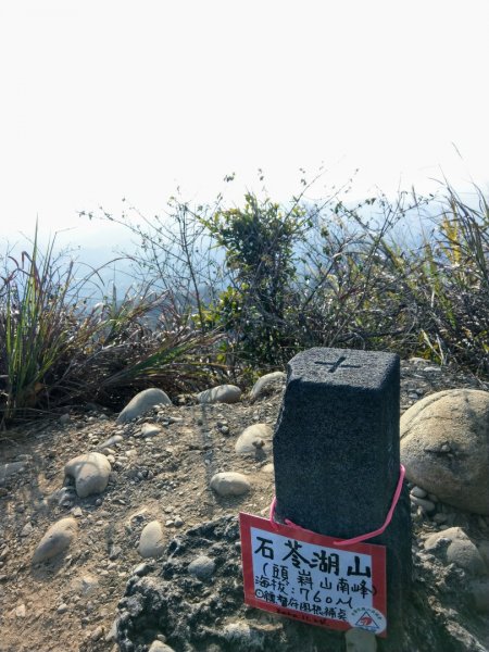 台中大坑4號步道上石苓湖山/黑山/黑山北1251382