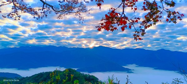 二訪馬拉邦山，解鎖 #琉璃光雲海 #日出雲海  #血月 #斜射光 #楓葉紅了！2668652