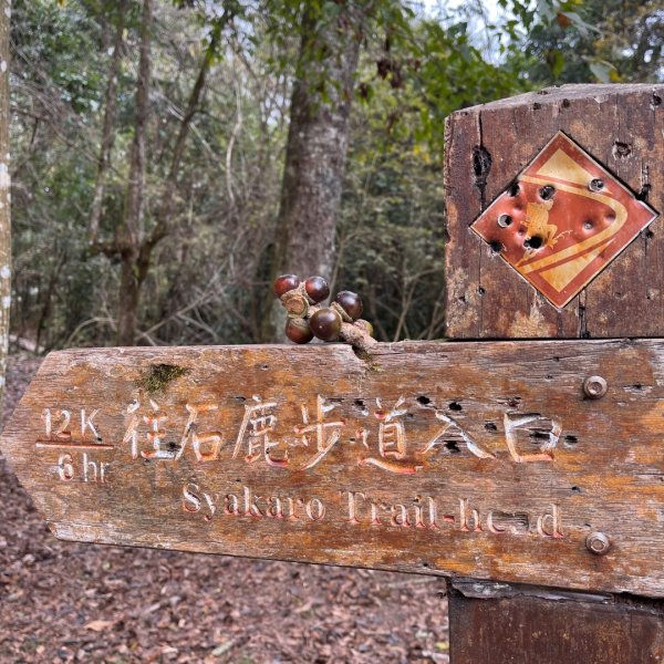 20241221 霞喀羅二天一夜露營賞楓2711951