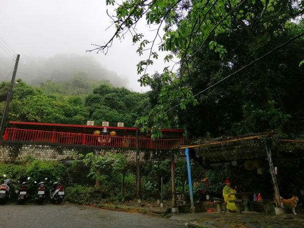 高雄大社~健身踏青好選擇~小百岳觀音山907971