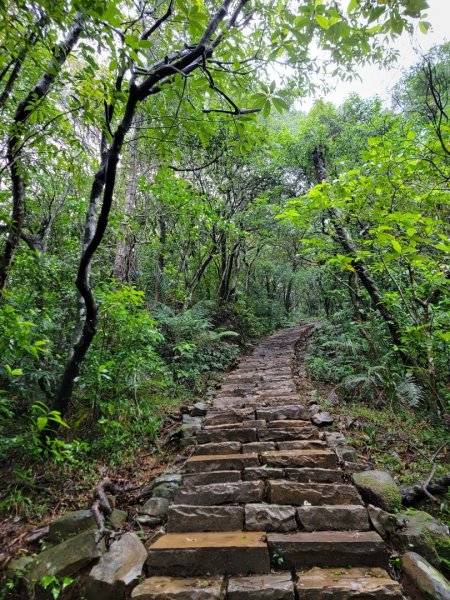 桃源谷，草嶺古道縱走1902850