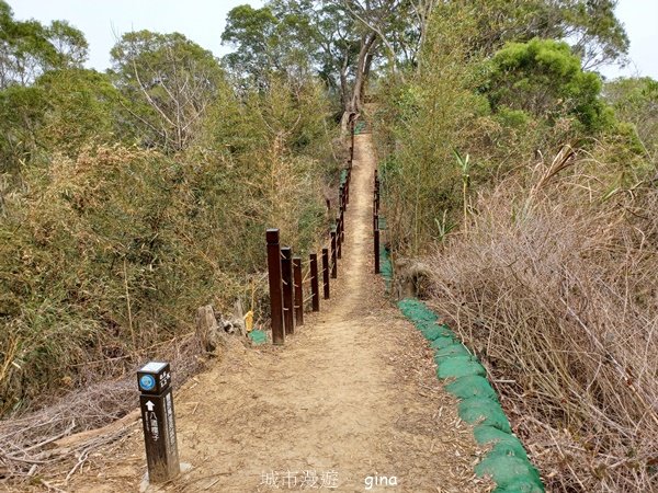 【台中豐原】平易近人。 豐原萬里長城登山步道x寮水山2517563