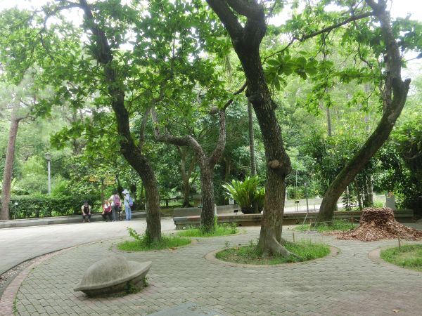 臺北植物園356186