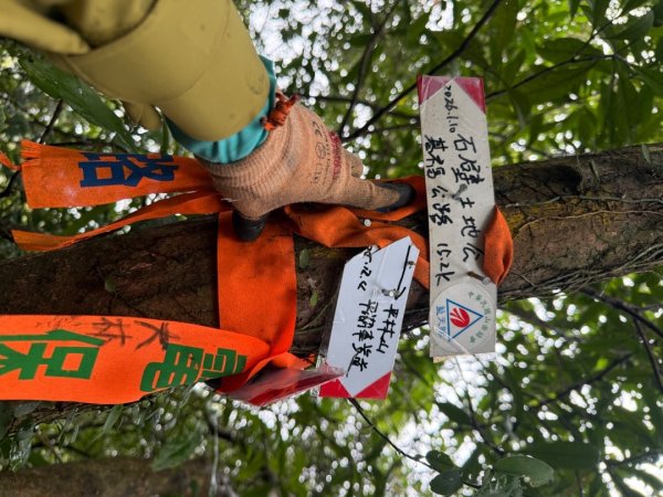 三林一后一紙及武山煤礦文化遺址8字行2991116