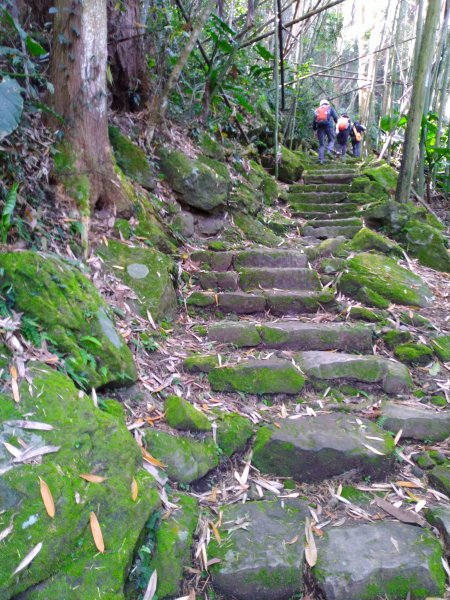 2022-04-09 迷糊步道_福山古道O型1668181