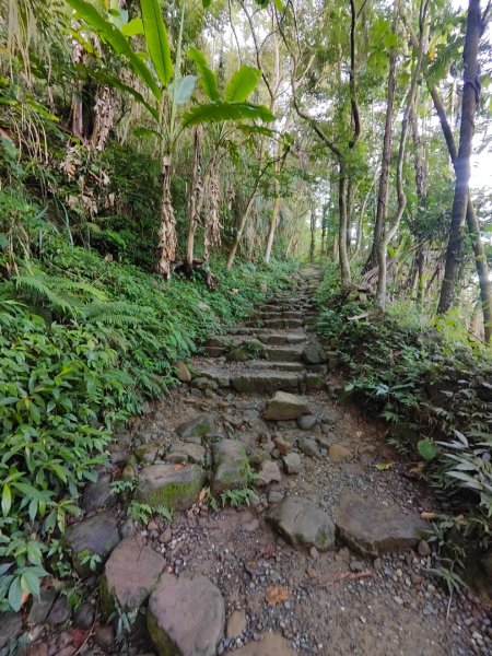 關仔嶺大凍山(夏季不要早上6點來、您會愛上這座山)2552187