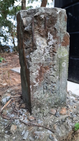 《台中》樹中有樹｜大坑步道6上7下O繞202502082708613