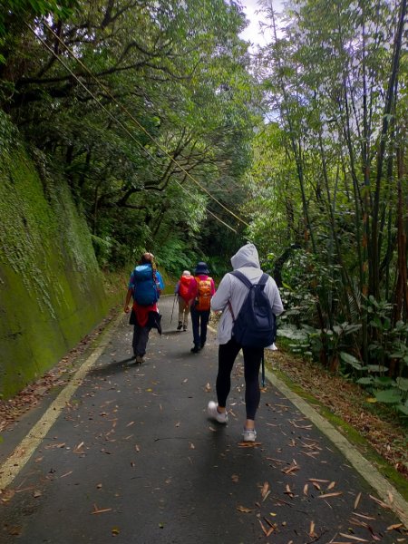 ［草嶺古道］（福隆~大里）（2023/11/1）2334760