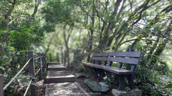 《台中》秋虎飆汗｜潭子新田登山步道上聚興山O繞202409152594081