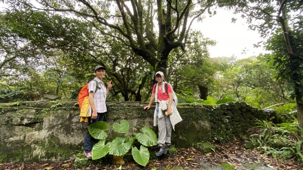 貂山古道訪金瓜石1914031