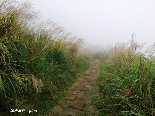 台北市第一高峰。 編號02小百岳七星山1235283