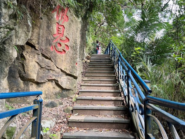 新店和美山|碧潭風景區|水岸步道悠閒散步野餐|親子新手輕鬆登頂1659713