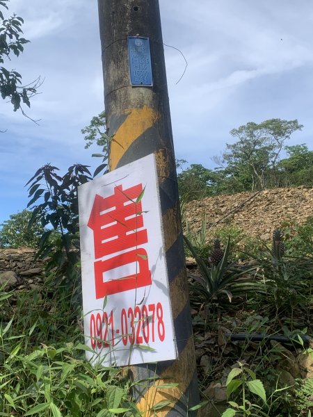 20250531屏東虻彈山東峰2803162