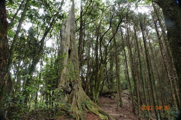 臺中 和平 鞍馬山1697263