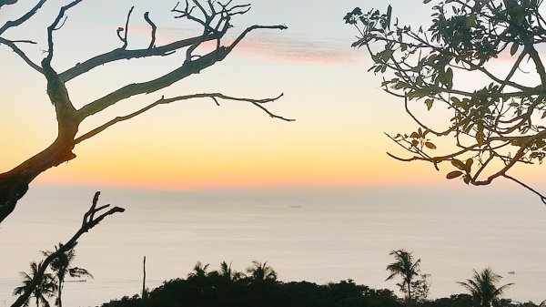 柴山夜爬看夕陽2993432