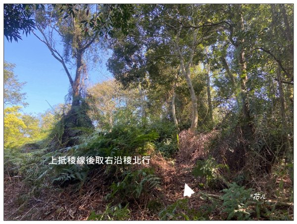 向山、向山遊客中心2747261