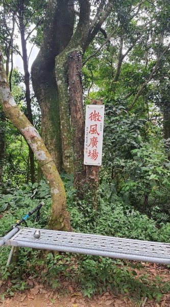 大艽芎古道縱走 新/溪州山(小百岳#23) 出溪州公園2893935