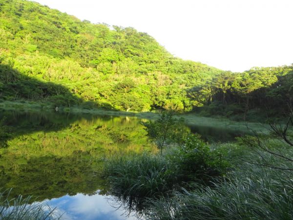 豪大梅雨後寧靜向天池湖沼枝額蟲現蹤跡133656