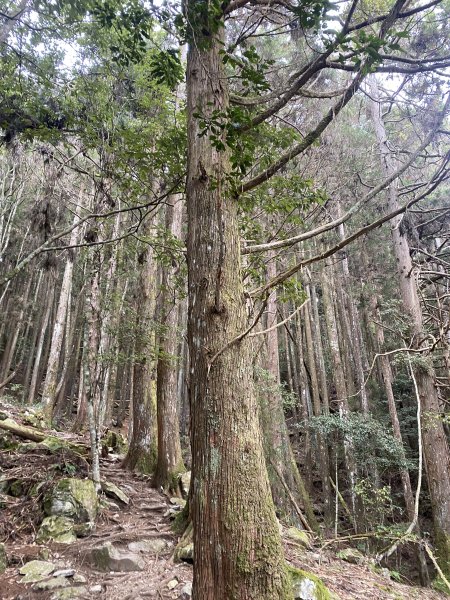 馬崙山11202103059285