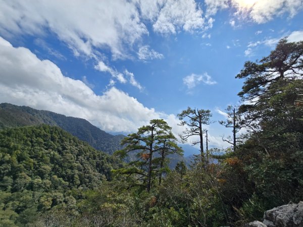 鳶嘴山+稍來神木2709893