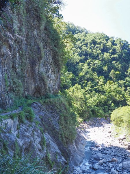 [百岳]能高越嶺逆走與奇萊南峰1042681