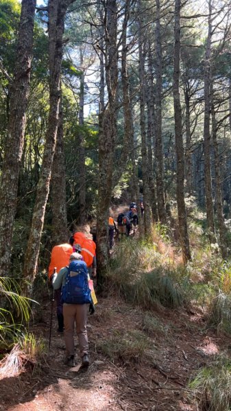 是不是有南字的山特別難成行南湖大山封面