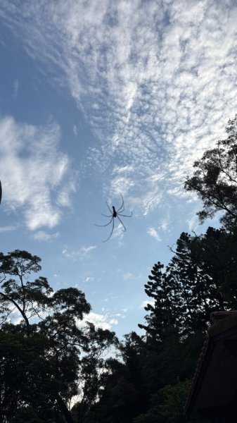 雙溪洲山（母親節快樂）3051389
