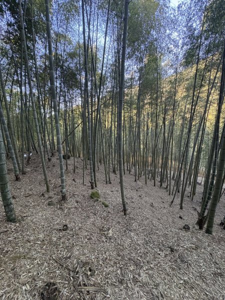20251221嘉南雲峰、石壁山登山步道2968080